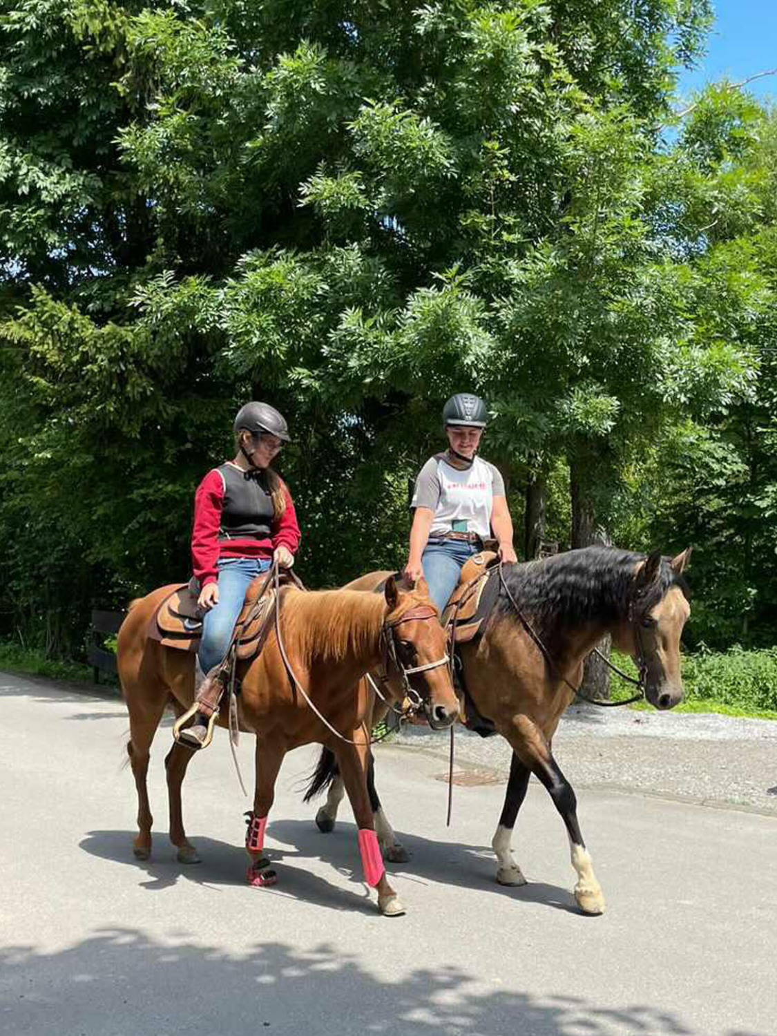 Neues Von Hope Reitbetrieb An Der Steinheide Familie K Llen